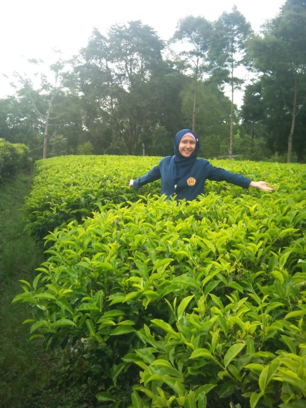 me and tea fields